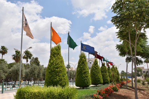 Training Workshops for Faculty Members Concerning Online Learning